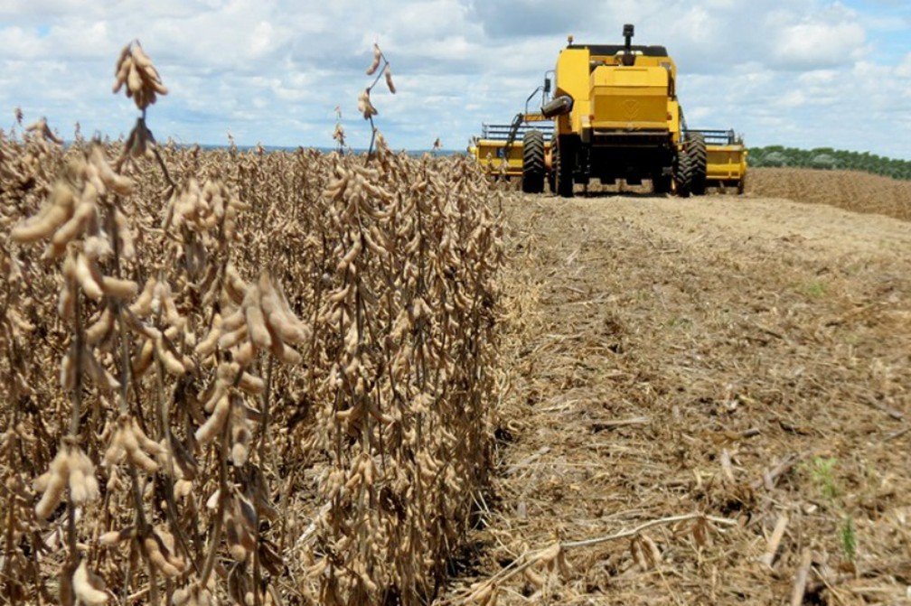 O surgimento da agricultura e do Estado