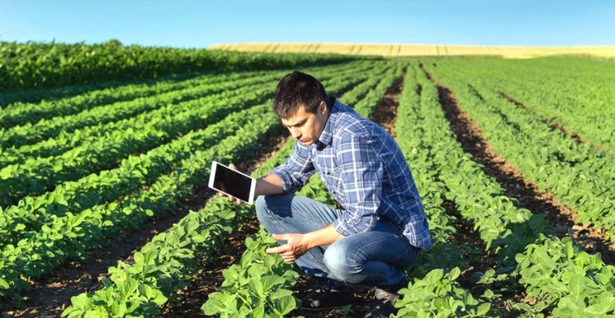 TRIBUTAÇÃO DO PRODUTOR RURAL