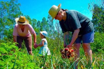 agricultura familiar