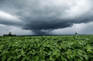 a influência do clima na pulverização agrícola